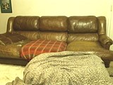 watch me squirt in your face ice show pt2 webcam