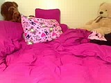 9733 pretty pink oiled kitty 9733 webcam